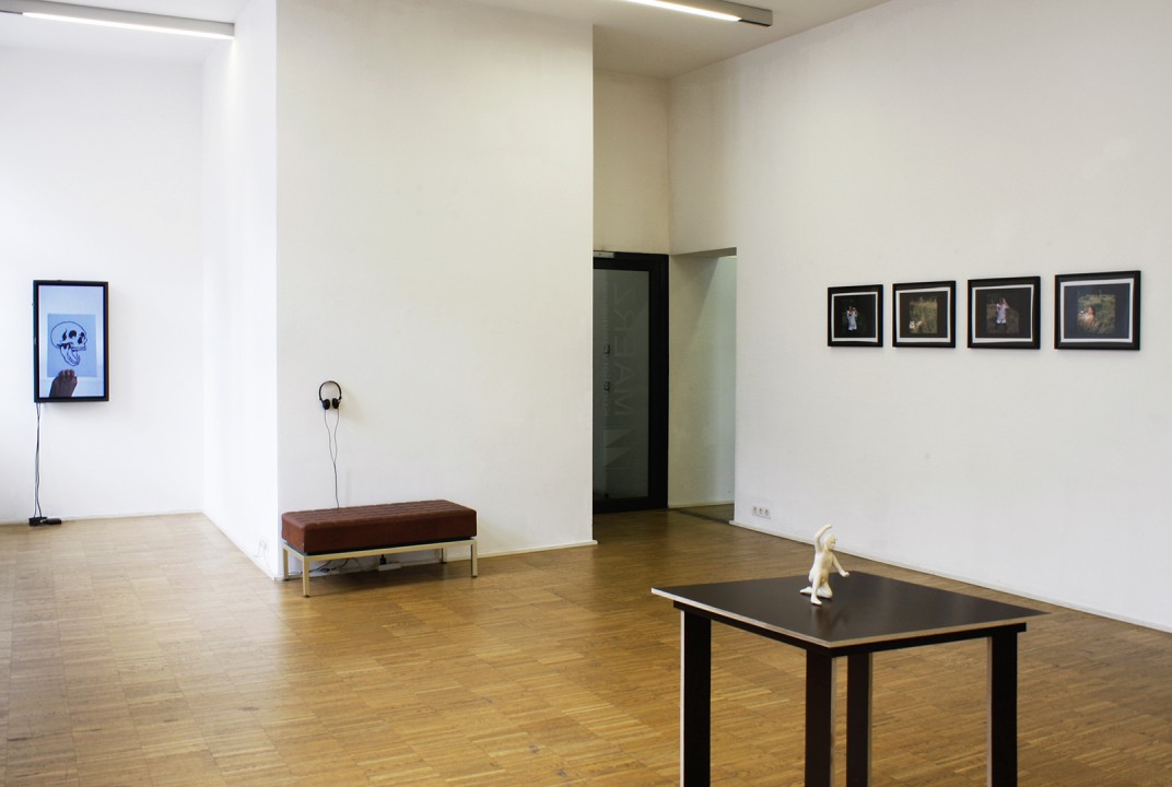 veronika_hauer_fox_2015_installation_view
